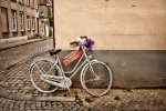 Bruges Transportation 