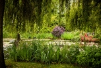 Monet's Garden 1 