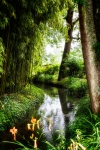 Monet's Garden 2 