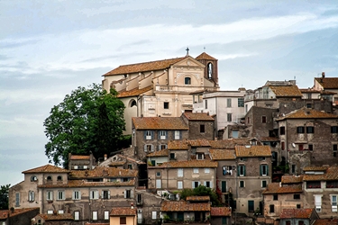 Civitavecchia Hillside 