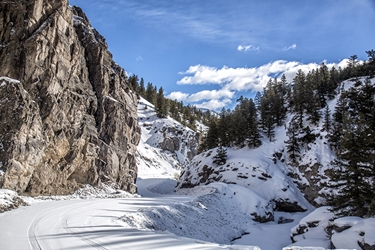 Snow on Henson Creek 