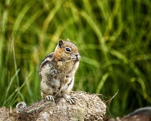 Having a Snack 