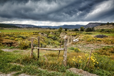 Old Washed Out Fence 